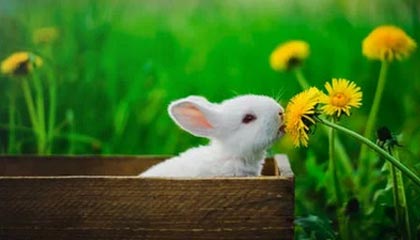 我以为是小问题,后来发现是大坑:如果你觉得51网不对劲,先从页面布局查起