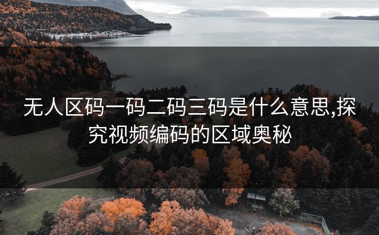 无人区码一码二码三码是什么意思,探究视频编码的区域奥秘