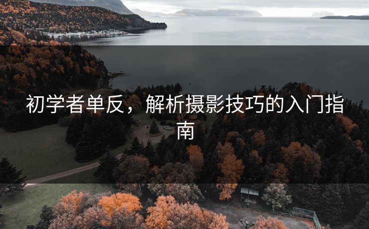 初学者单反,解析摄影技巧的入门指南 初学者单反,解析摄影技巧的入门指南