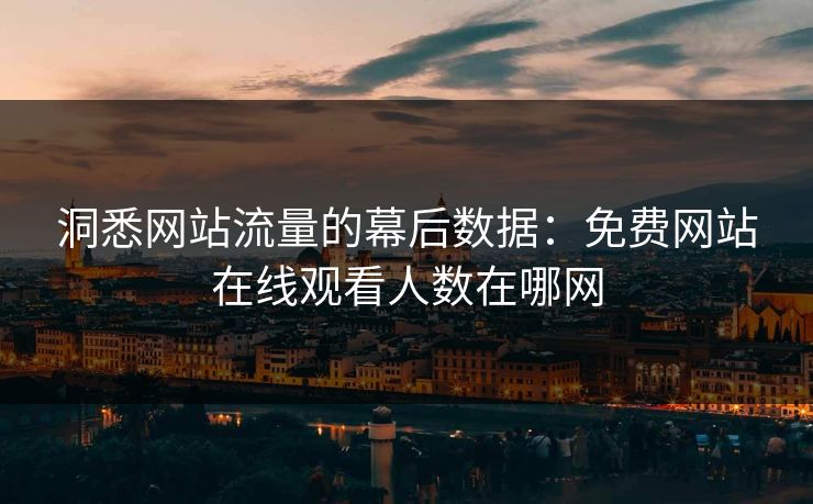 洞悉网站流量的幕后数据:免费网站在线观看人数在哪网 洞悉网站流量的幕后数据:免费网站在线观看人数在哪网