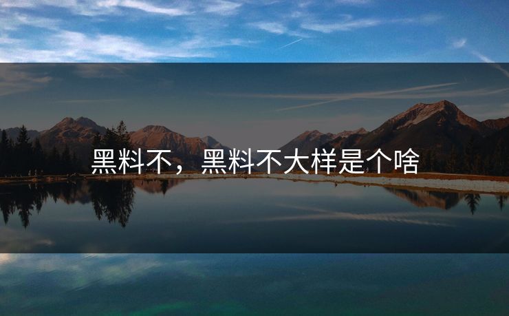 黑料不，黑料不大样是个啥