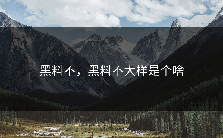 黑料不，黑料不大样是个啥