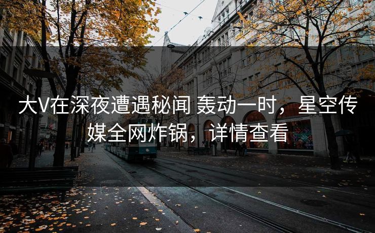 大V在深夜遭遇秘闻 轰动一时，星空传媒全网炸锅，详情查看