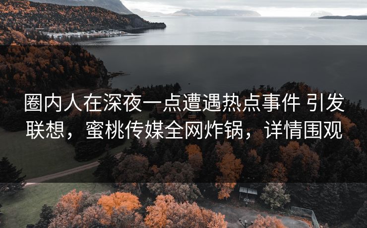 圈内人在深夜一点遭遇热点事件 引发联想，蜜桃传媒全网炸锅，详情围观