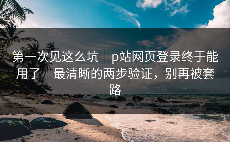 第一次见这么坑｜p站网页登录终于能用了｜最清晰的两步验证，别再被套路