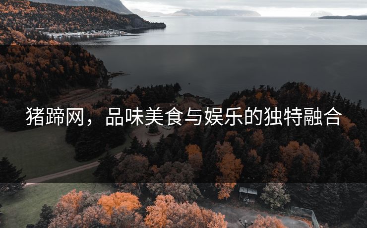 猪蹄网,品味美食与娱乐的独特融合 猪蹄网,品味美食与娱乐的独特融合
